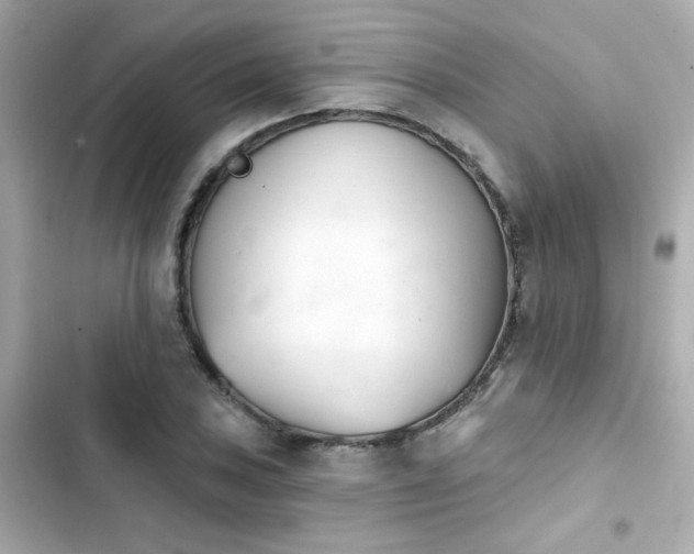 X0000103931027200809191345