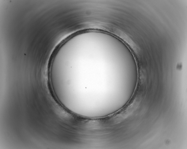 X0000103931028200809191345