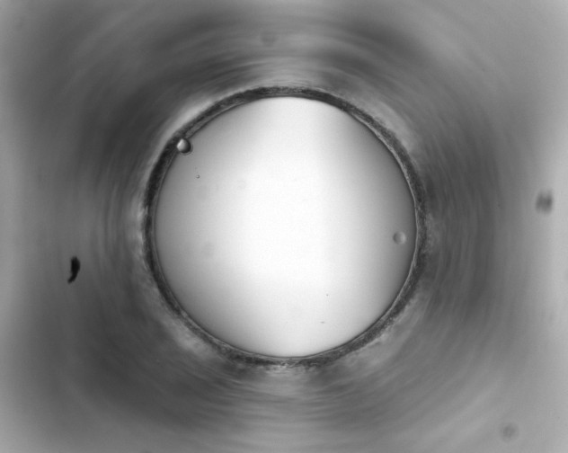 X0000103931029200809191345