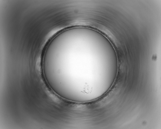 X0000103931030200809191345
