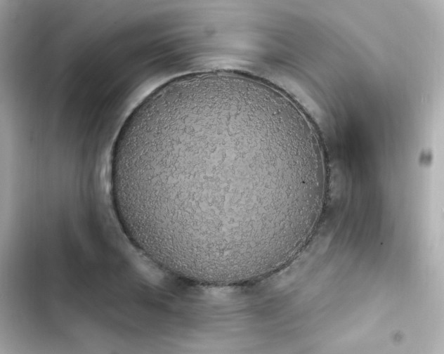 X0000103931031200809191345