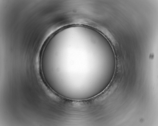 X0000103931032200809191345