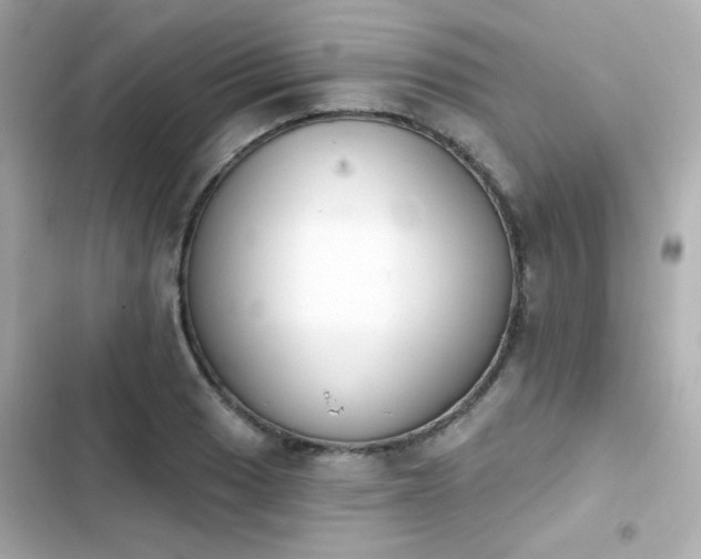 X0000103931033200809191345
