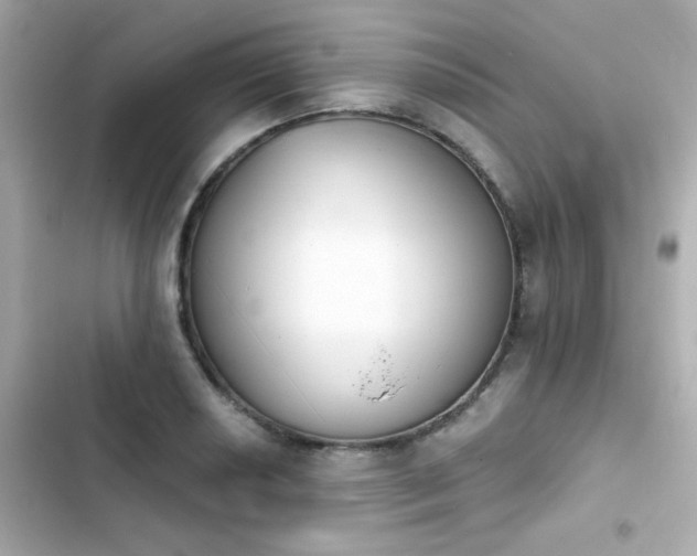 X0000103931034200809191345