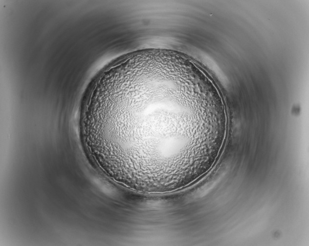 X0000103931035200809191345