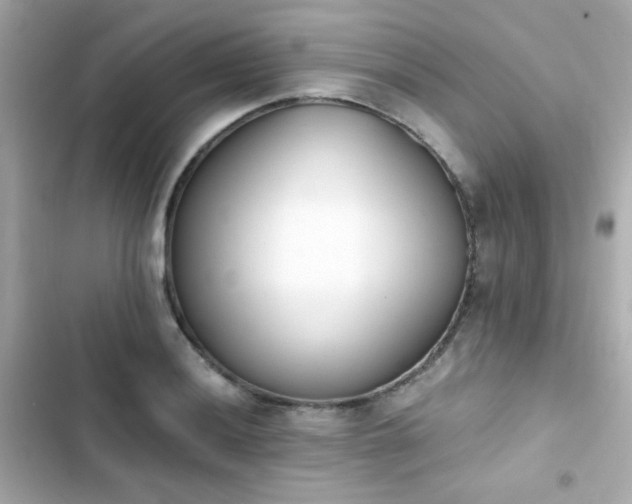X0000103931036200809191345