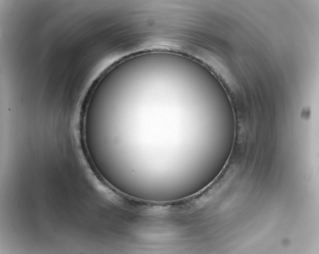 X0000103931038200809191345