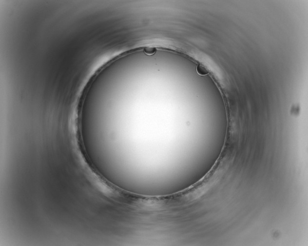 X0000103931040200809191345
