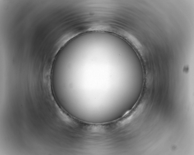 X0000103931041200809191345