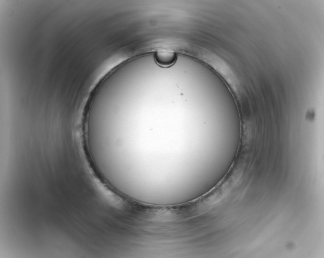 X0000103931042200809191345