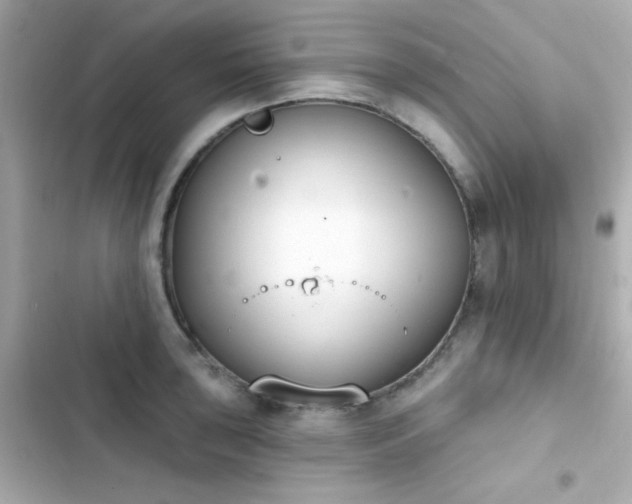 X0000103931043200809191345