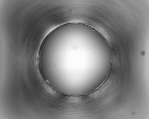 X0000103931044200809191345
