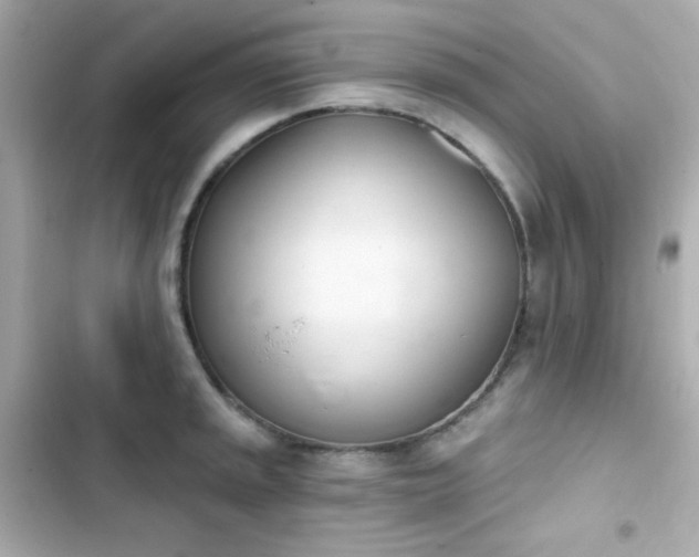 X0000103931045200809191345