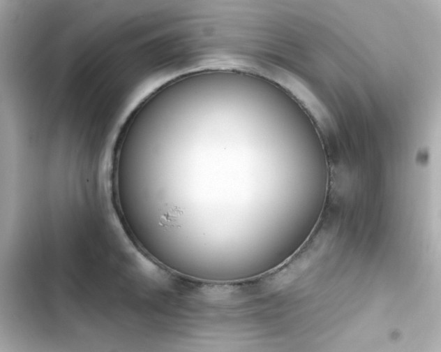 X0000103931046200809191346