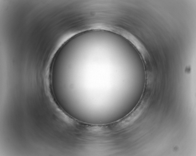 X0000103931048200809191346