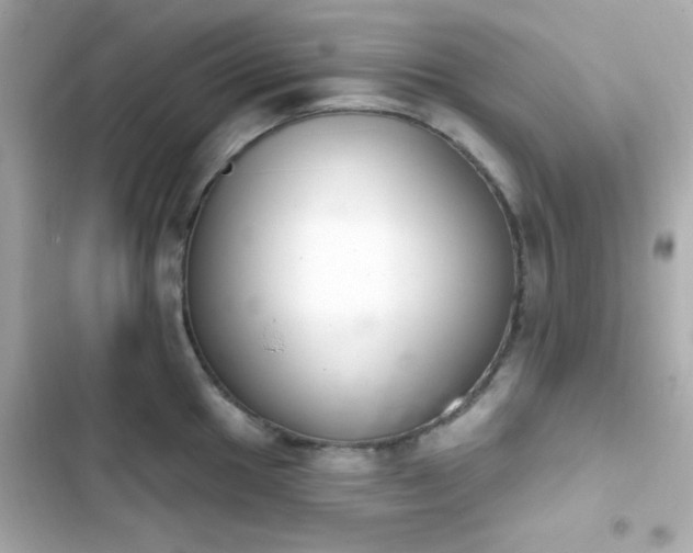 X0000103931049200809191346