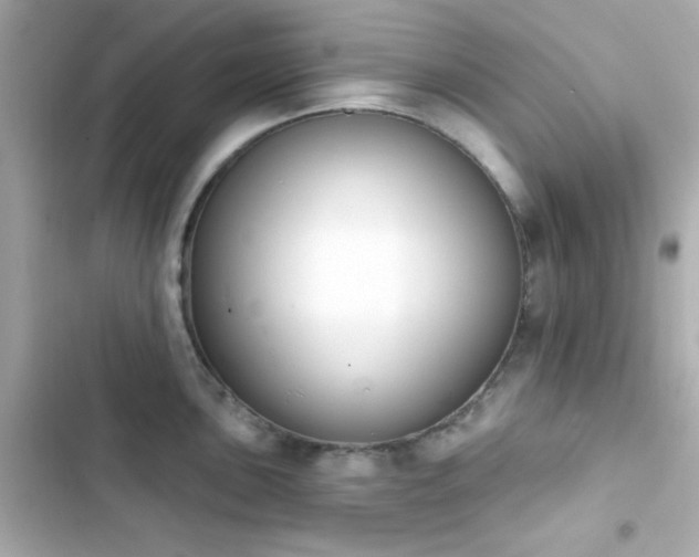 X0000103931051200809191346