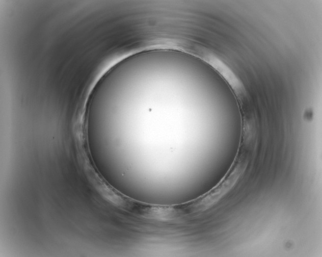 X0000103931052200809191346