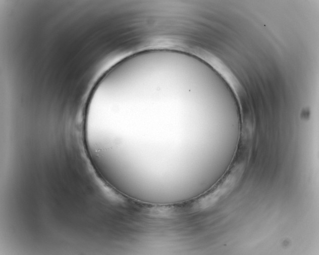 X0000103931053200809191346