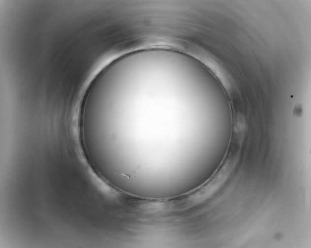 X0000103931054200809191346