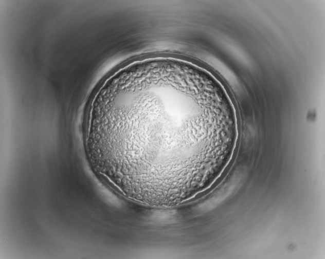 X0000103931055200809191346