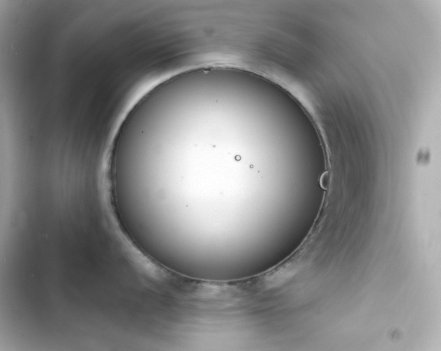 X0000103931056200809191346