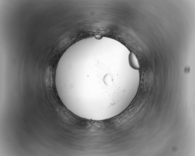 X0000103931058200809191345
