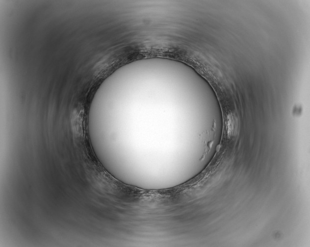 X0000103931059200809191345