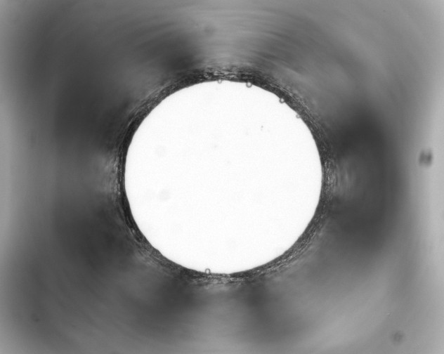 X0000103931060200809191345
