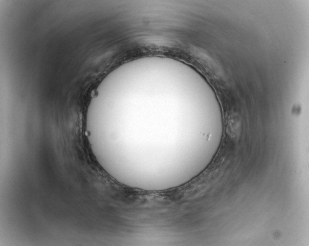 X0000103931061200809191345
