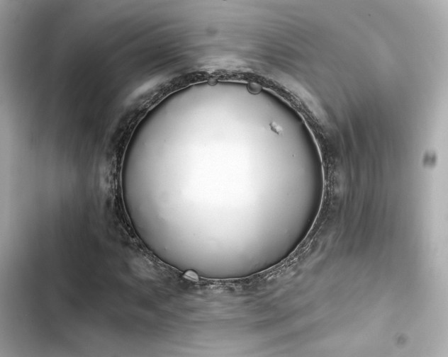 X0000103931063200809191345
