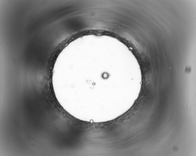 X0000103931064200809191345
