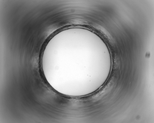 X0000103931065200809191345