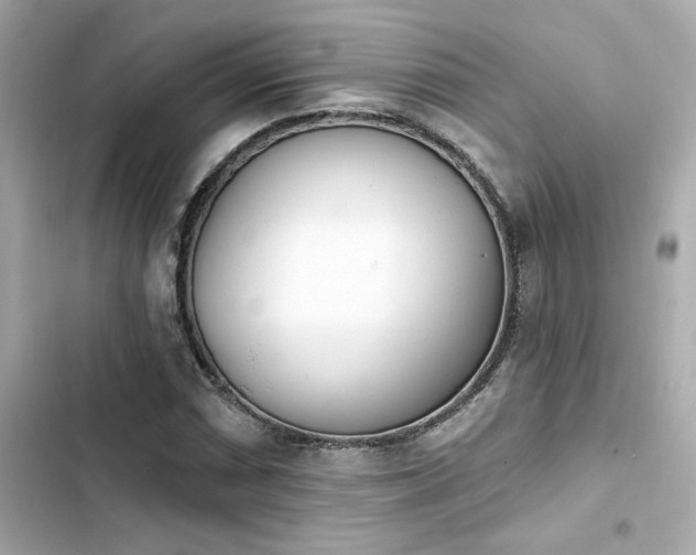 X0000103931066200809191345