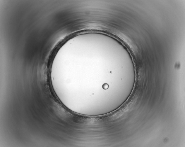 X0000103931067200809191345