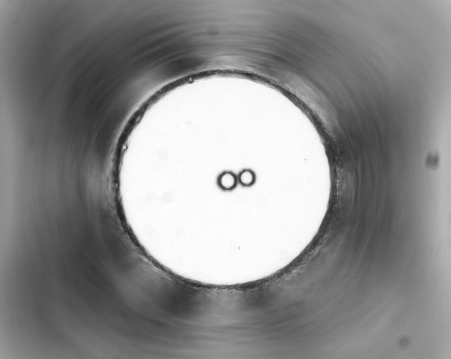 X0000103931068200809191345