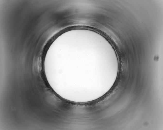 X0000103931069200809191345