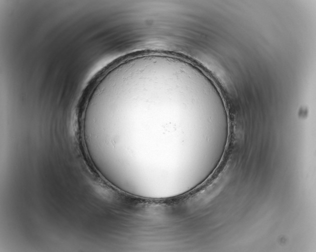 X0000103931070200809191345