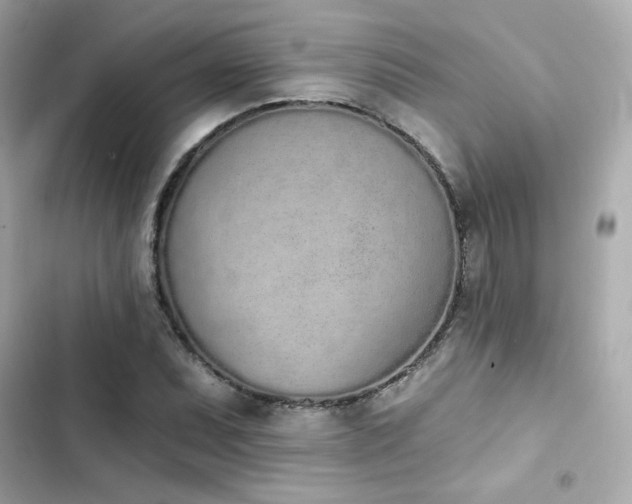 X0000103931071200809191345