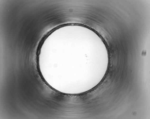 X0000103931072200809191345