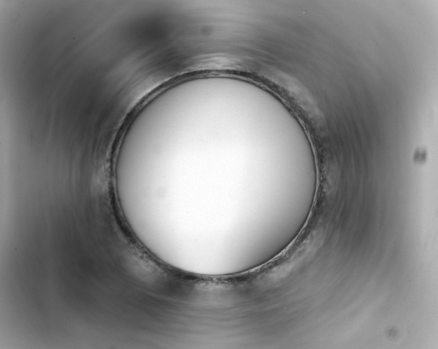 X0000103931073200809191345