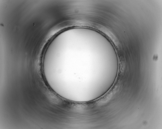 X0000103931074200809191345
