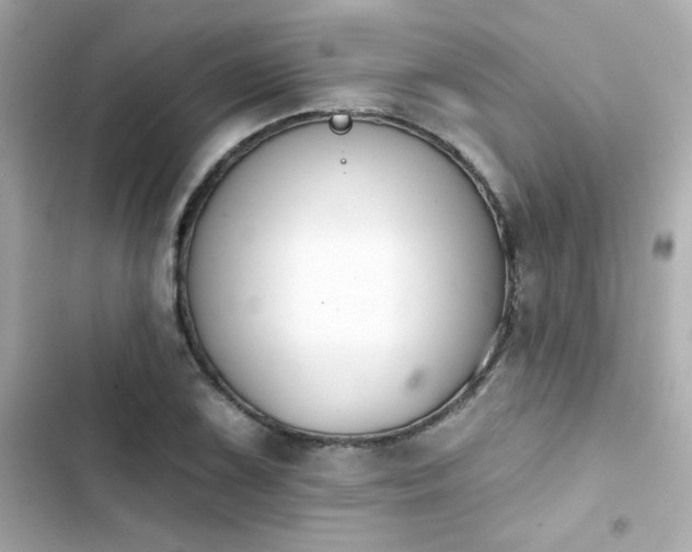X0000103931075200809191345