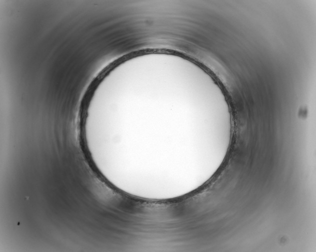 X0000103931076200809191345