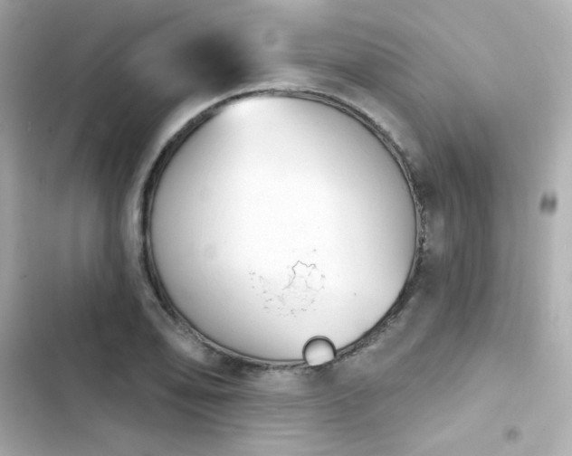 X0000103931078200809191345