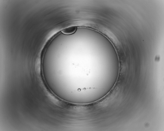 X0000103931079200809191345