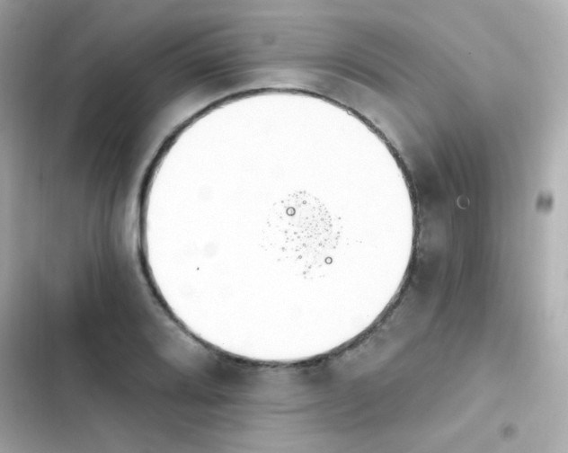 X0000103931080200809191344