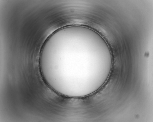 X0000103931081200809191344
