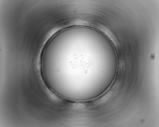X0000103931082200809191344