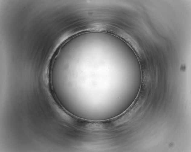 X0000103931083200809191344